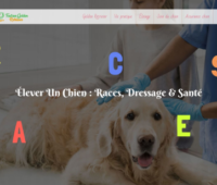 https://www.toutsurlegoldenretriever.fr