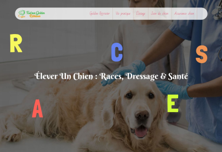 https://www.toutsurlegoldenretriever.fr